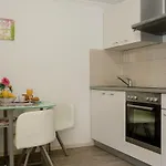 Vladimir Downtown 公寓 拉布